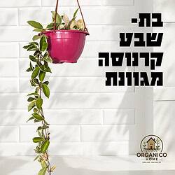 בת שבע קרנוסה מגוונת
