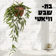 בת שבע ווייאטי למכירה - מחיר