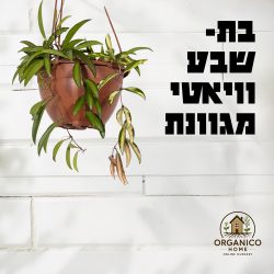 בת שבע ווייאטי מגוונת