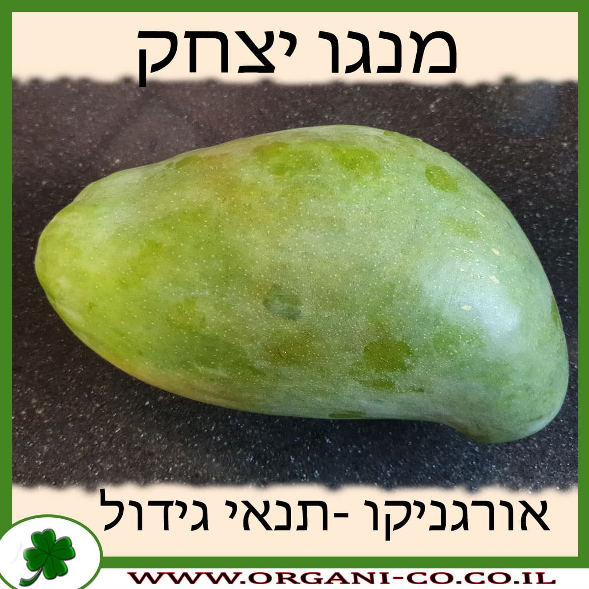 מנגו יצחק