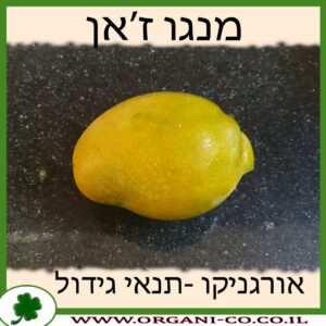 מנגו ז'אן