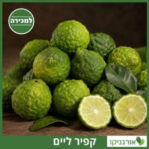 כפיר ליים עץ 25 ליטר למכירה - מחיר