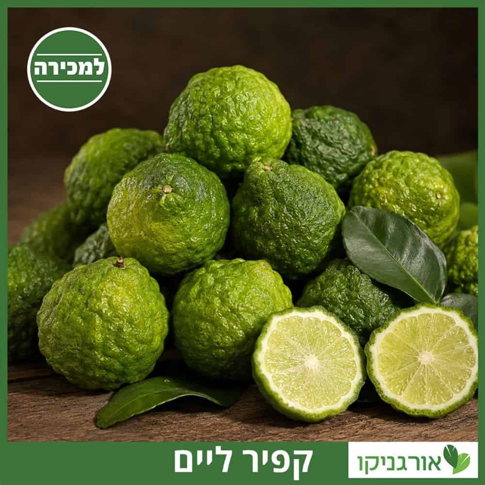 כפיר ליים 25 ליטר