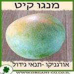מנגו קיט