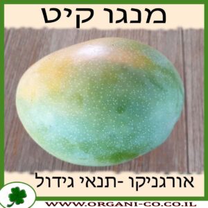 מנגו קיט