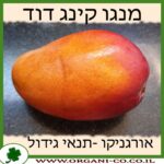 מנגו קינג דוד
