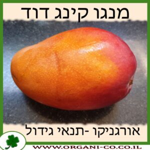 מנגו קינג דוד