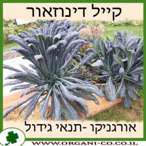 קייל דינוזאור גידול צמח