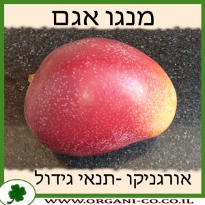 מנגו אגם