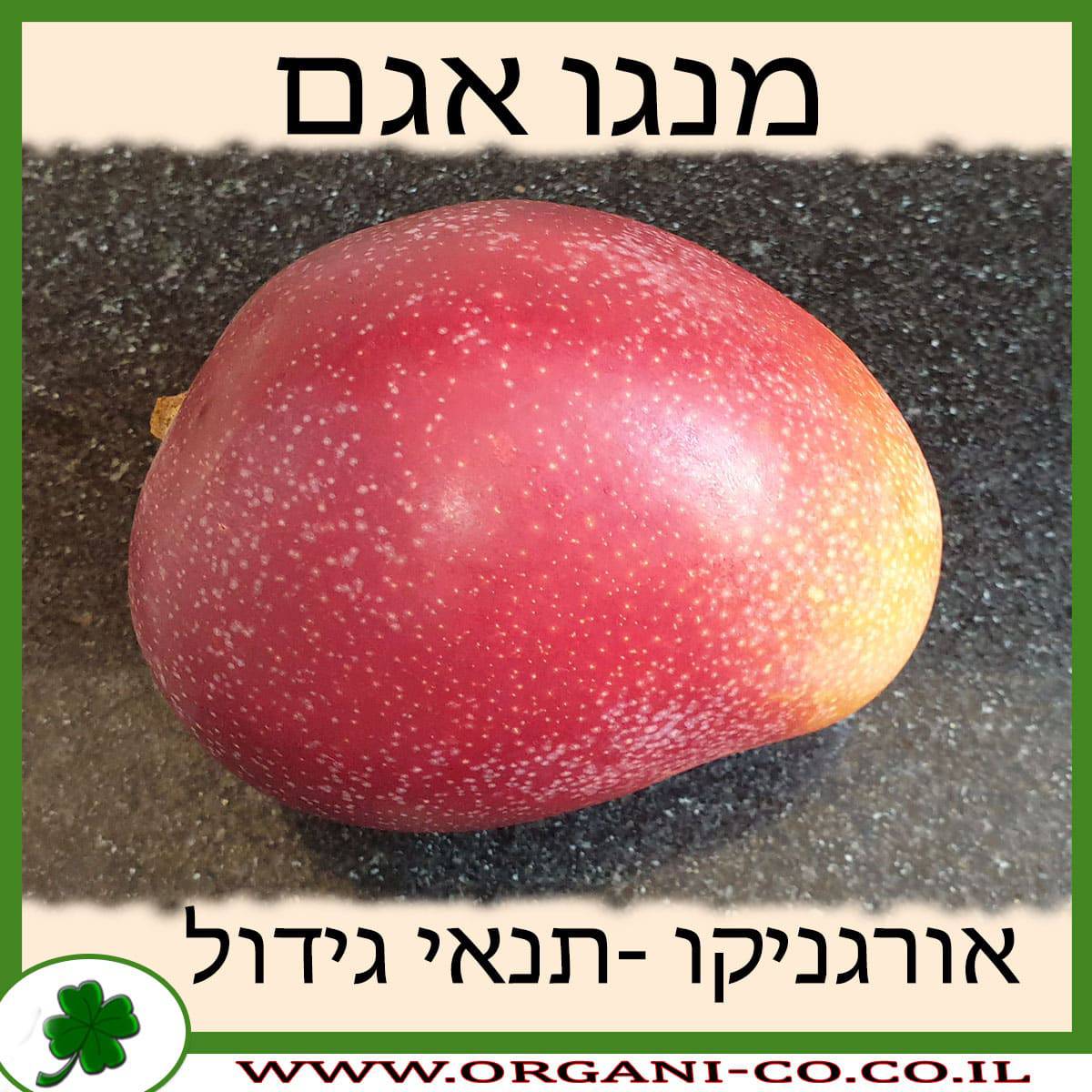 מנגו אגם