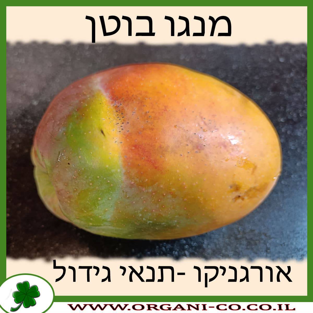 מנגו בוטן תנאי גידול