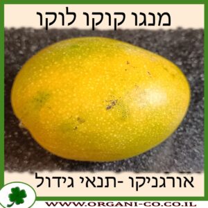 מנגו קוקו לוקו תנאי גידול