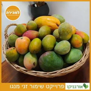 זני מנגו - שימור זני אורגניקו