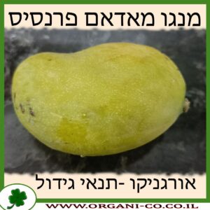 מנגו מאדאם פרנסיס תנאי גידול