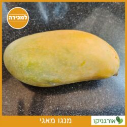 מנגו מאגי