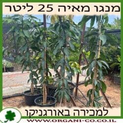 מנגו מאיה 25 ליטר