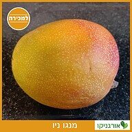 מנגו ניו למכירה - מחיר