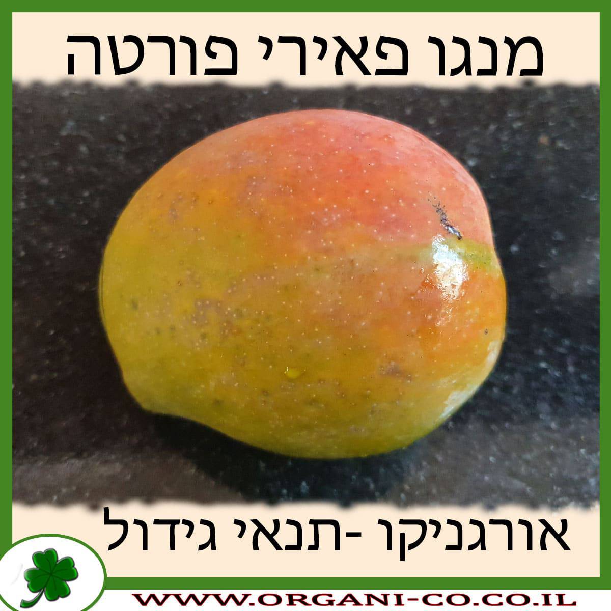 מנגו פאירי פורטה תנאי גידול