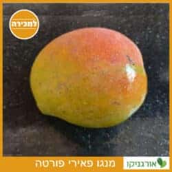 מנגו פאירי פורטה