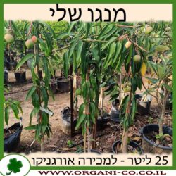 מנגו שלי 25 ליטר