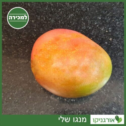 מנגו שלי למכירה - מחיר