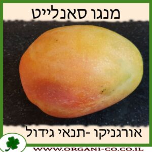 מנגו סאנלייט תנאי גידול