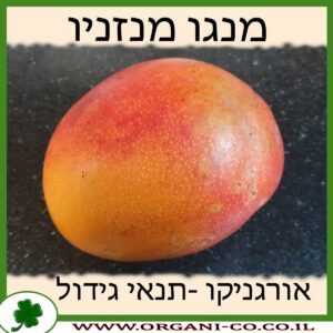 מנגו מנזניו