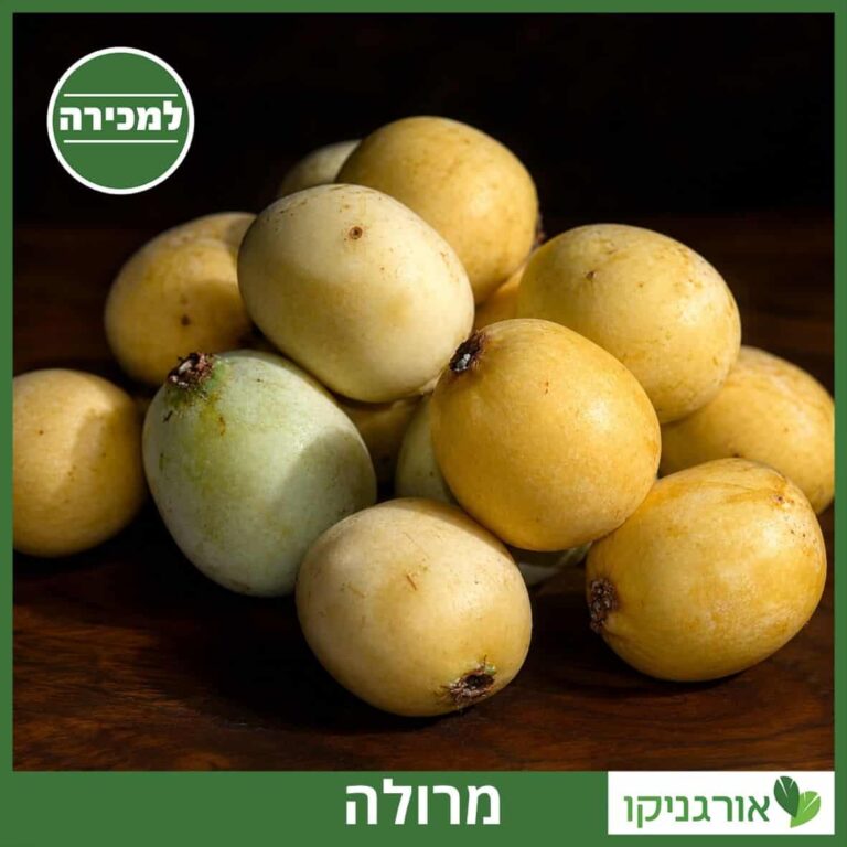 אמרולה (מרולה) - למכירה מחיר