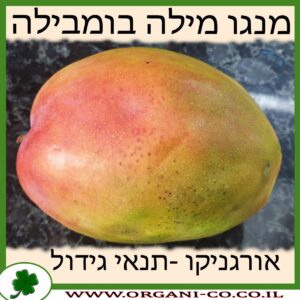 מנגו מילה בומבילה