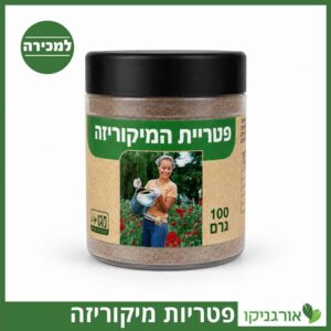 פטריות מיקוריזה למכירה