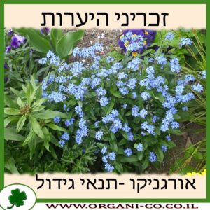זכריני היערות