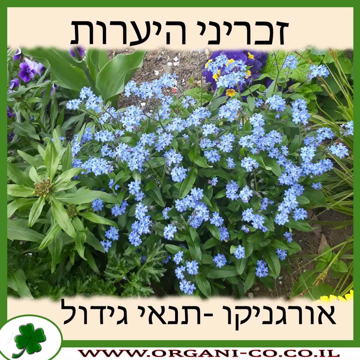 זכריני היערות