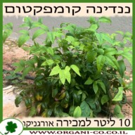 ננדינה קומפקטום 10 ליטר למכירה - מחיר