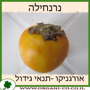 נרנחילה