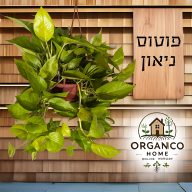 פוטוס ניאון למכירה - מחיר