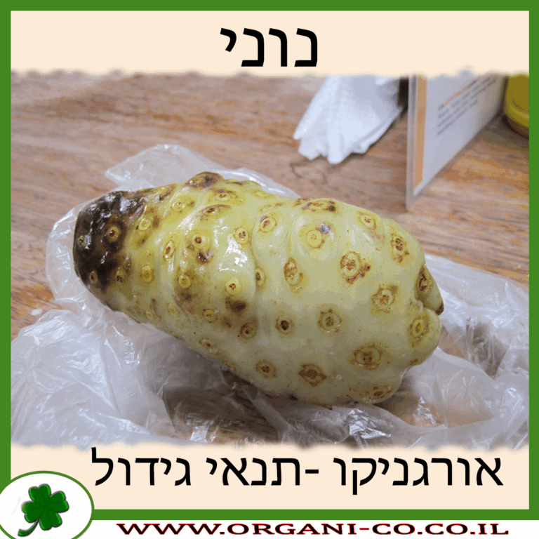 נוני גידול צמח