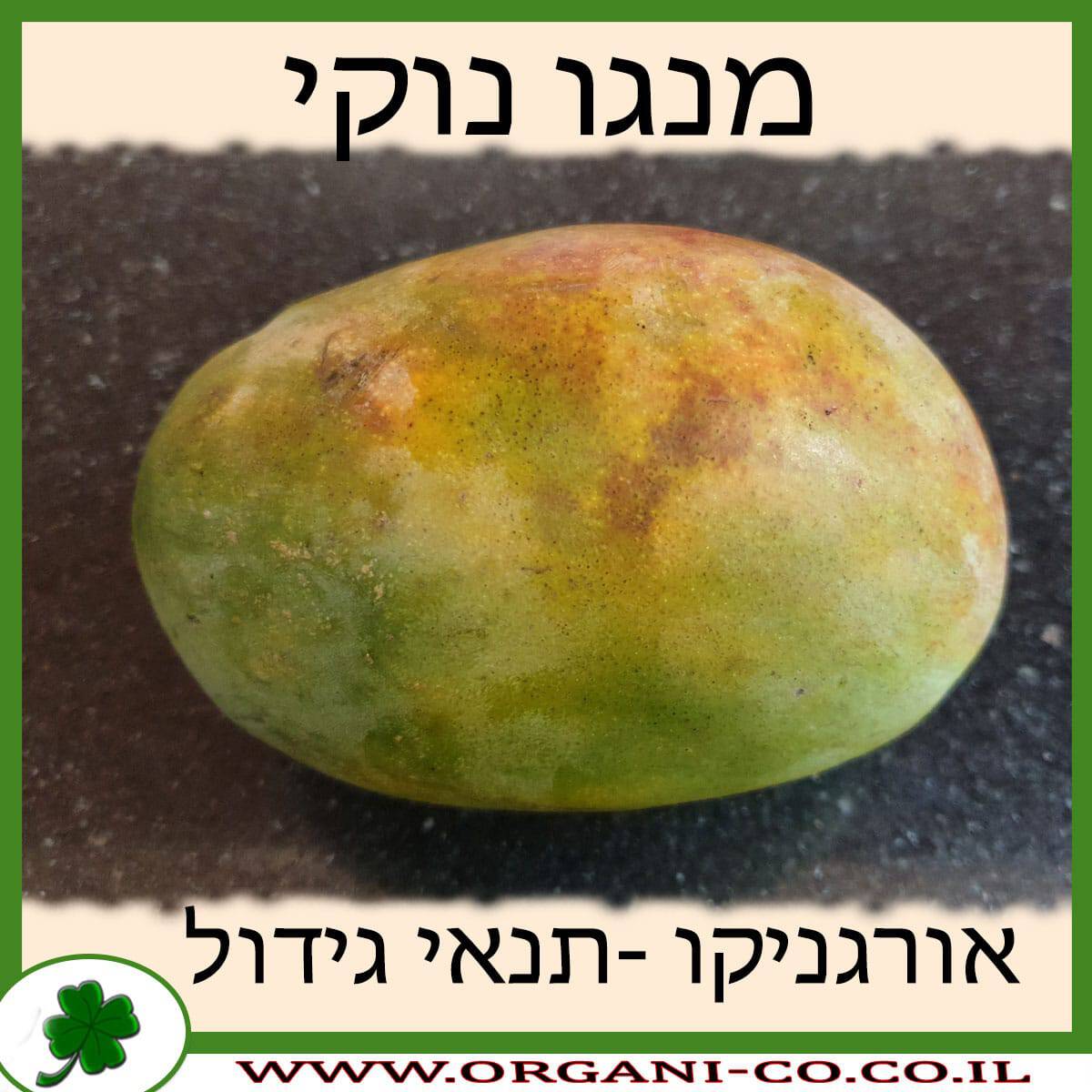 מנגו נוקי