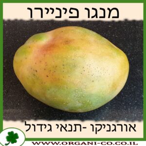 מנגו פיניירו