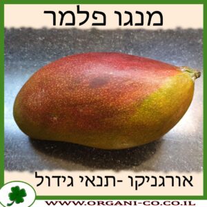 מנגו פלמר