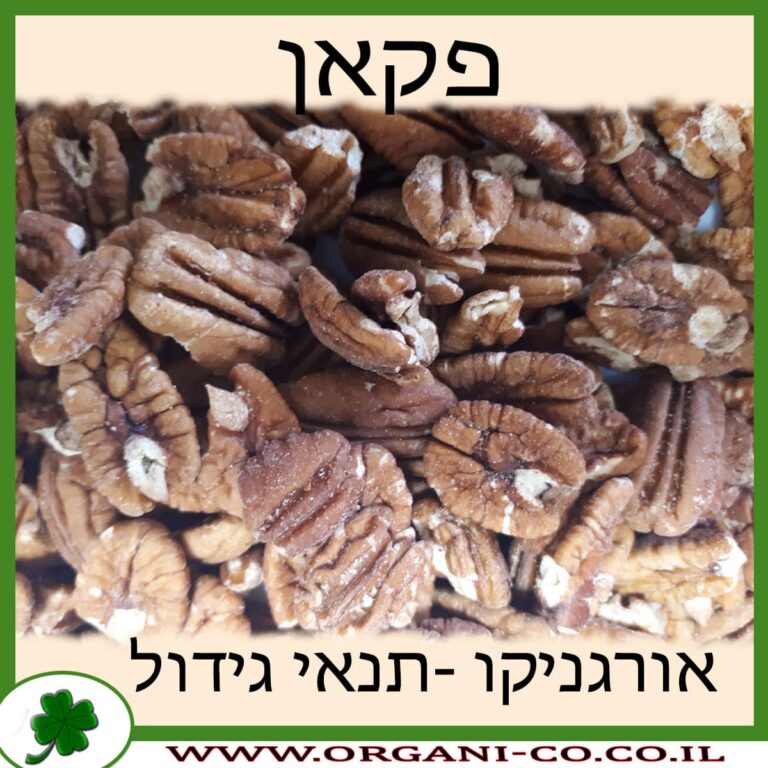פקאן פקאן גידול צמח