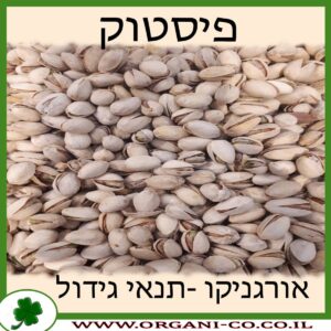 פיסטוק גידול צמח