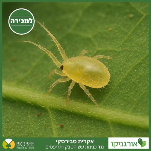 אקרית סבירסקי - נגד כנימת עש הטבק, תריפס למכירה - מחיר