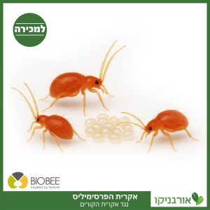 אקרית הפרסימיליס - נגד אקרית הקורים - למכירה - מחיר