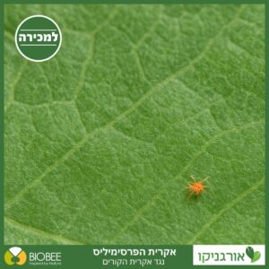 עוגן תווית ALT: חרק על עלה ירוק, חקלאות אורגנית, טבעי, סביבה בריאה.