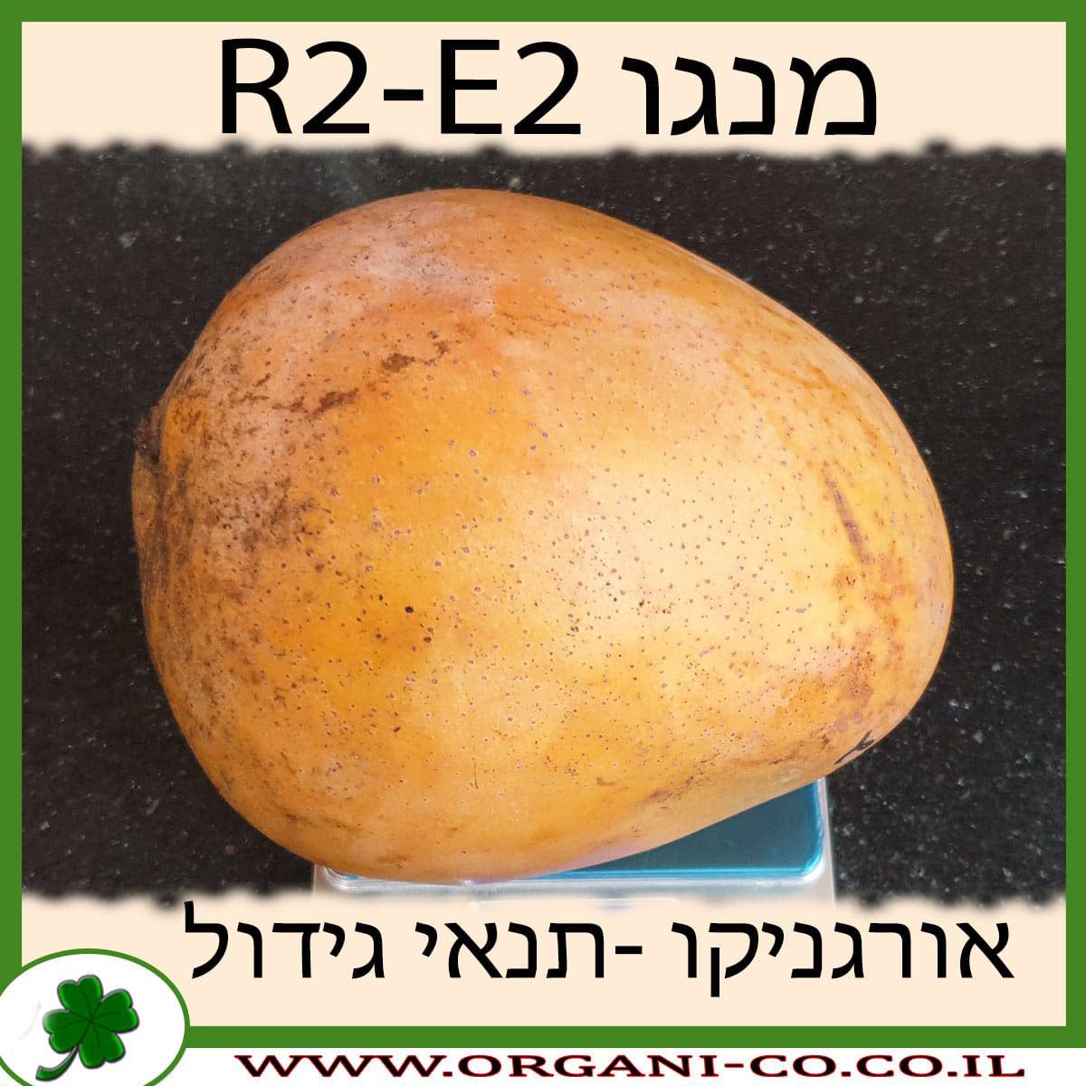 מנגו ארטו-איטו - R2E2