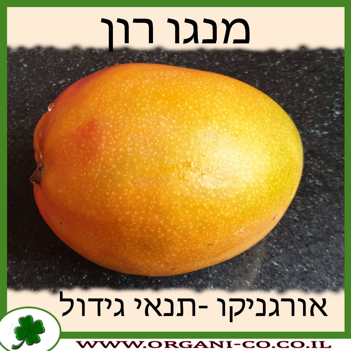 מנגו רון