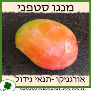 מנגו סטפני