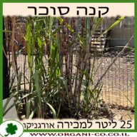 קנה סוכר 25 ליטר למכירה - מחיר