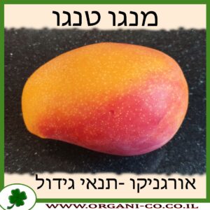 מנגו טנגו