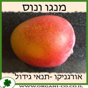 מנגו ונוס